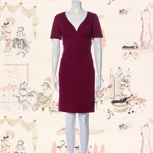 Z Spoke by Zac Posen Dress ⭐ FINAL PRICE ⭐ - Picture 2 of 5